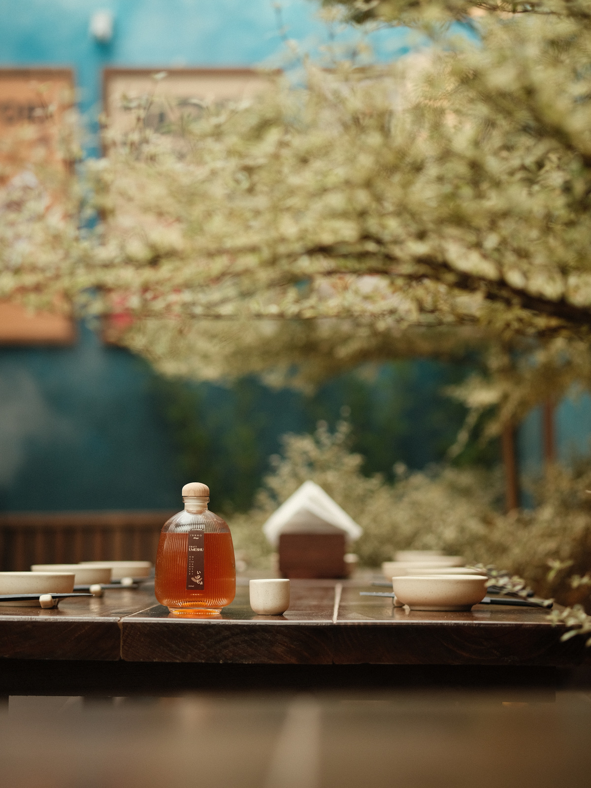 Rượu mơ / cocktail đẹp mắt