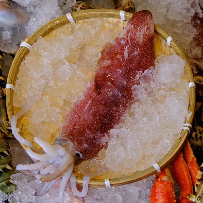 Mực Ống