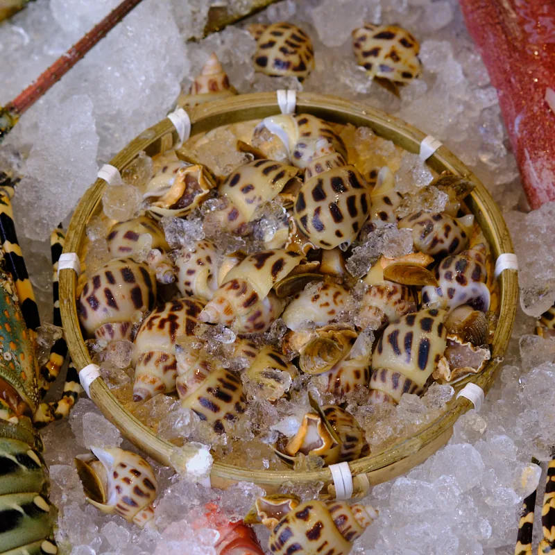 Ốc Hương (300g)